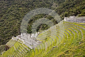 Winay Wayna terraces