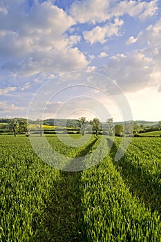 Winchcombe The Cotswolds