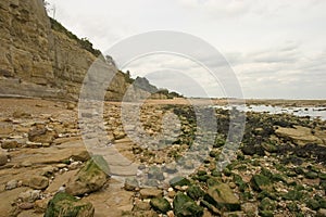 Winchelsea Beach