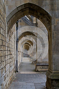 Winchester Cathedral Nave Buttresses photo