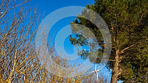 wind blade between trees and moon over blue sky