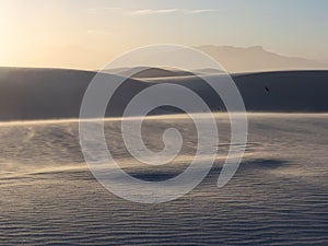 Wind blown patterns in dunes