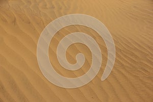 Rippled sand in the desert
