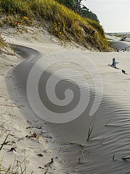Wind-blown rippled sand texture in the sand dunes of the Baltic Sea coast, sand wave on the beach