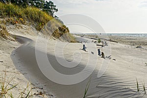 Wind-blown rippled sand texture in the sand dunes of the Baltic Sea coast, sand wave on the beach