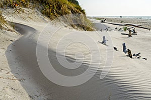 Wind-blown rippled sand texture in the sand dunes of the Baltic Sea coast, sand wave on the beach