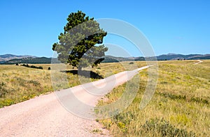 Wind Cave National Park