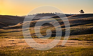 Wind Cave National Park