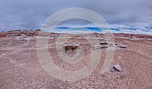 Wind Clam Sculptures in Petrified Forest AZ