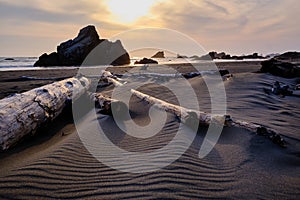 Wind creates ripples in sand trapped between driftwood.  Brookings, Oregon