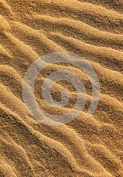 Wind Crest of Sand Dunes photo