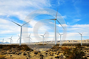 The Wind Driven Generator