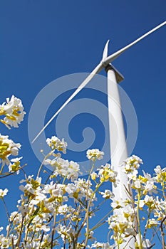 Wind-driven generator