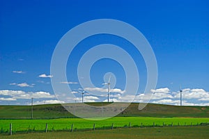 Wind driven generator on grasslands
