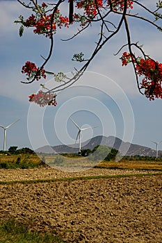 Wind driven power plants.