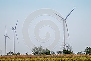 Wind electro generators standing in yellow field