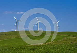 Wind Energie