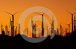 Wind Energy Power Plant During Scenic Sunset