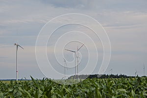 Wind energy.Wind turbines in a corn field. energy sources.