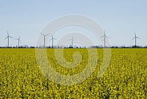 Wind energy turbines on sunset sky background, Energy generator nature friendly. Spring yellow colza field..