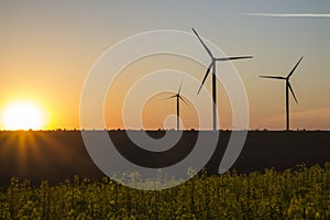 Wind energy turbines on sunset sky background, Energy generator nature friendly. Yellow colza field.