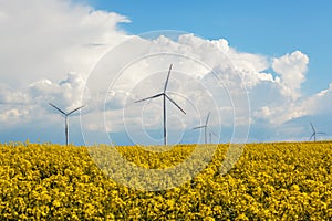 Wind energy turbines on yellow field