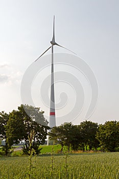 Wind engine near a wheat field