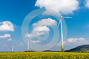 Wind engines in a rapeseed field