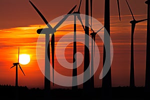 Wind engines in rural scene