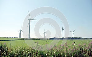 Wind Farm 2