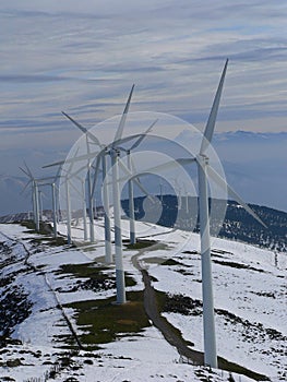 Wind farm