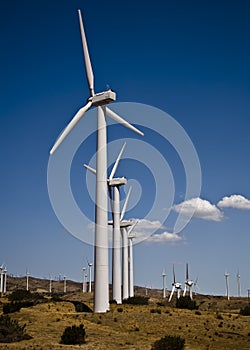 Wind Farm