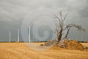 Wind farm