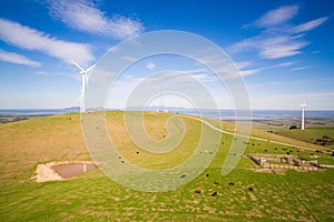 Wind farm in Australia