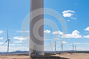 Wind farm building, power clean energy, wind turbine