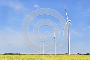 Wind farm and canola field in eastern Europe during sunny day