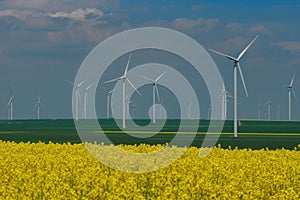 Wind farm and or canola field. Spring flowers background