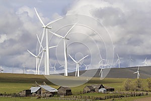 Wind Farm by Cattle Ranch in Washington State