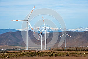 Wind farm in Chile photo