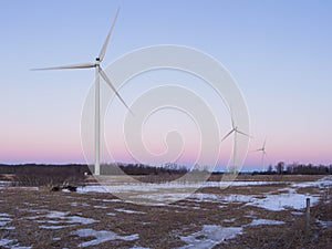 Wind farm at dawn in winter