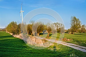 Wind farm, field and trees, beautiful spring landscape