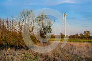 Wind farm, field and trees, beautiful spring landscape