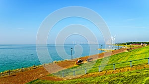 Wind Farm in the inland sea named IJselmeer