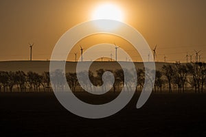 Wind farm landscape. At sunrise