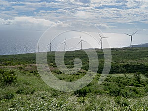 Wind farm in Maui Hawaii photo