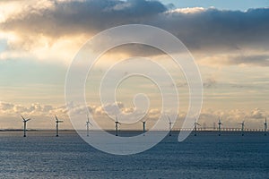 Wind farm in the open sea during sunset. Offshore wind generators. Sustainable and clean energy concept.