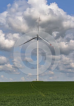 wind farm \