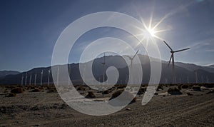 Wind farm at Palm Springs