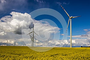 Wind farm on rapeseed field