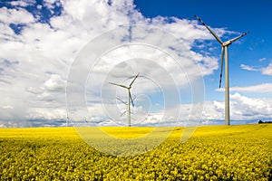 Wind farm on rapeseed field